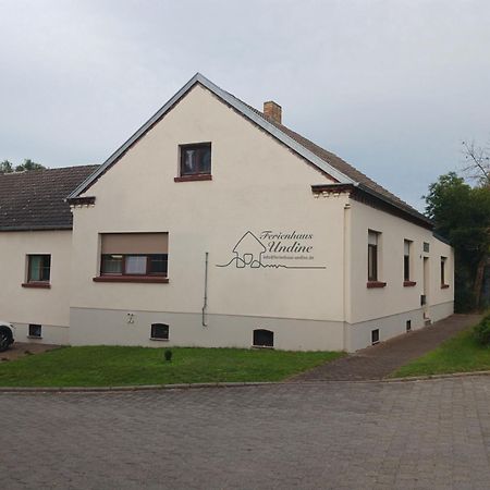 Ferienhaus Undine Mit E-Auto-Ladestation Oranienbaum-Woerlitz Extérieur photo